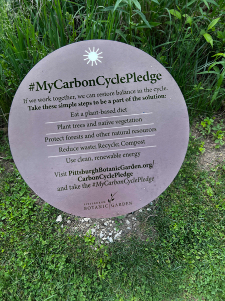 Environmental pledge