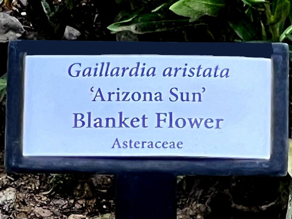 Blanket Flower sign