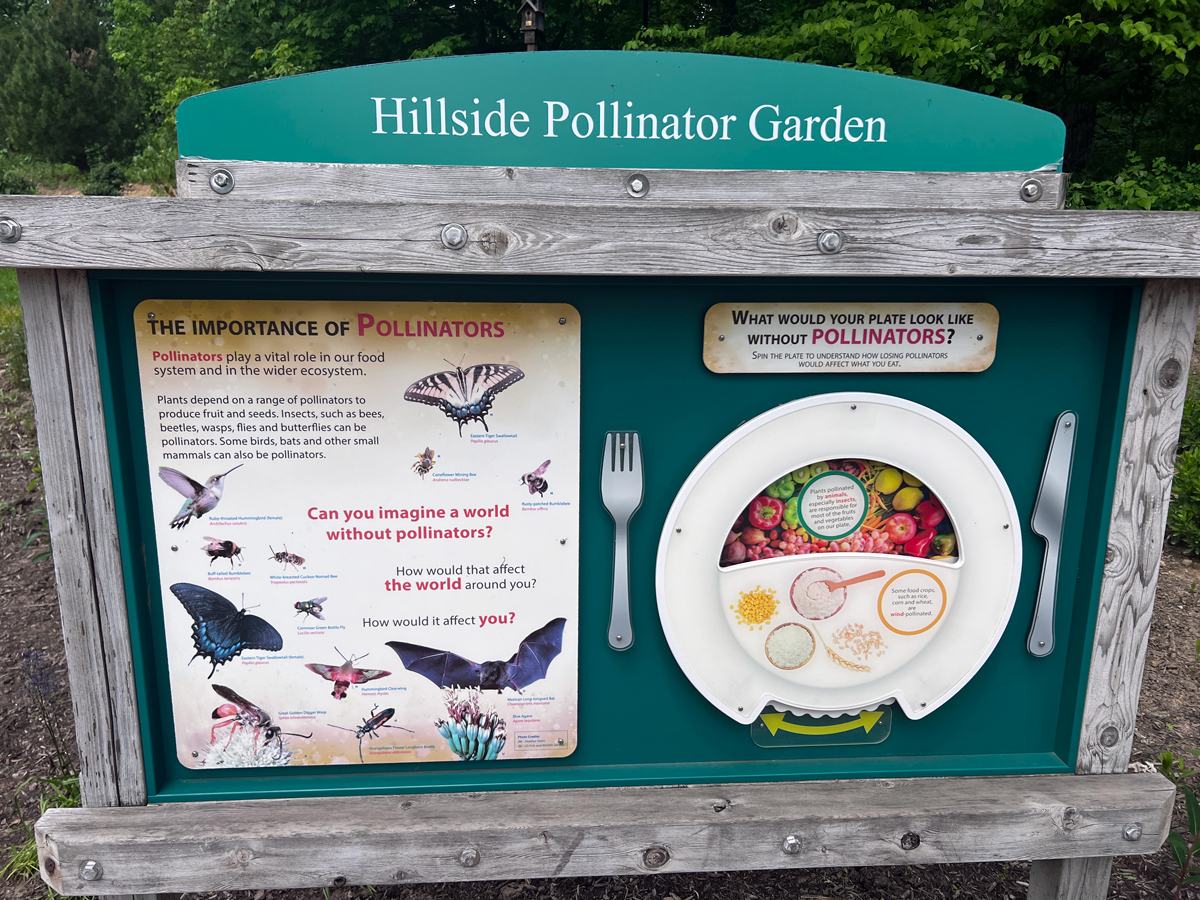 Hillside Pollinator Garden sign