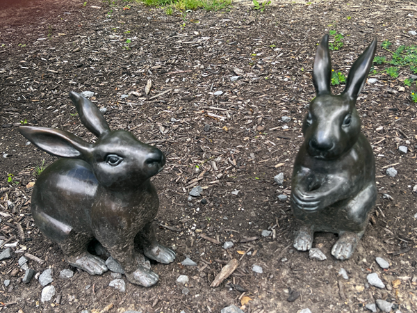 rabbits