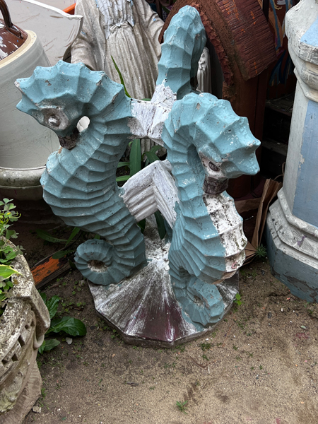 seahorses