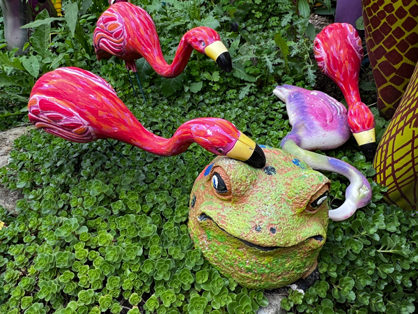 frog and birds