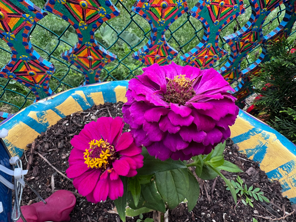 flowers