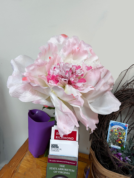 flower  at the Virginia Welcome Center