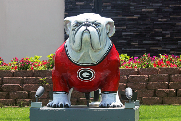 bulldog statue