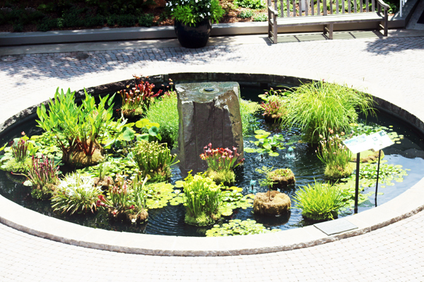 State Botanical Garden of Georgia 