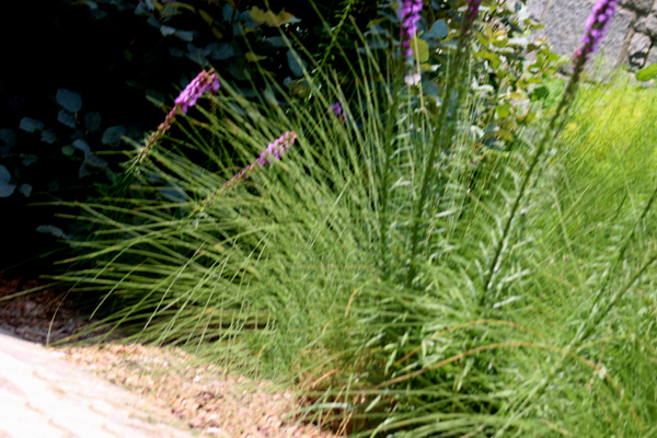 State Botanical Garden of Georgia 