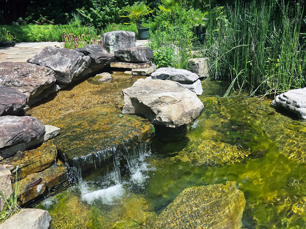 pond