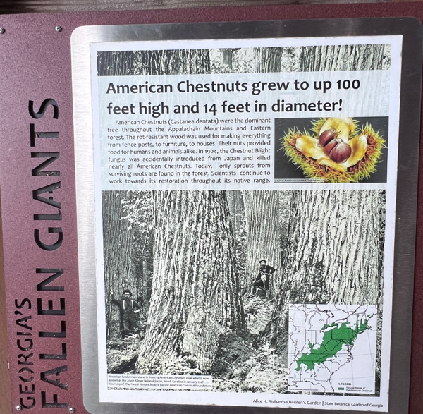 Chestnut sign