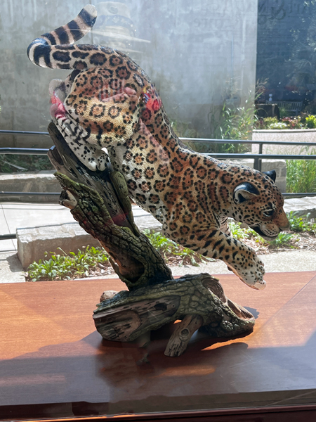 leopard