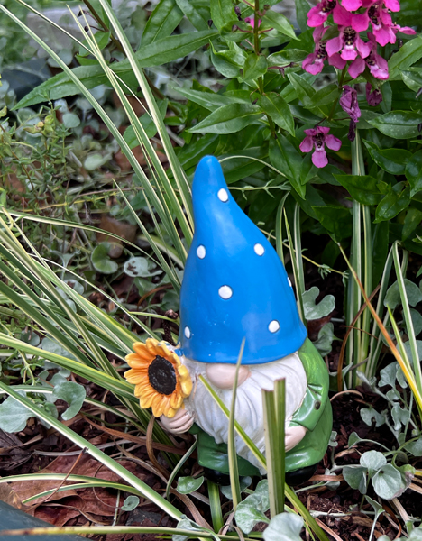 gnome