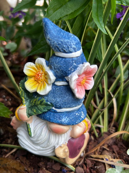gnome