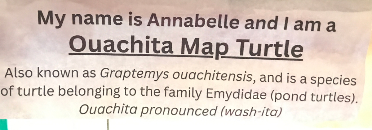 Annable the Ouachita map turtle sign