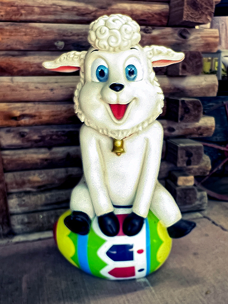 cute lamb