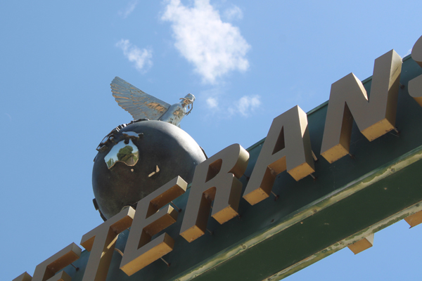 dove and globe