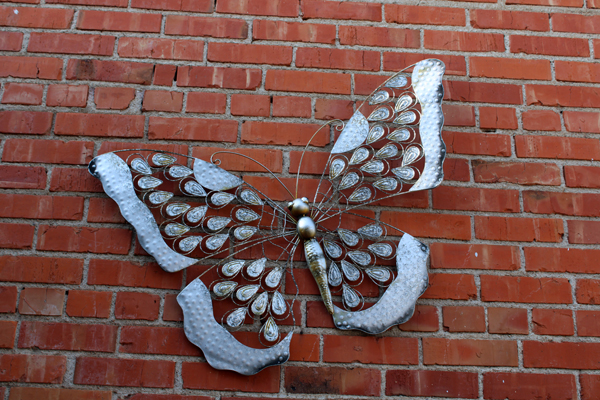 butterfly on the wall