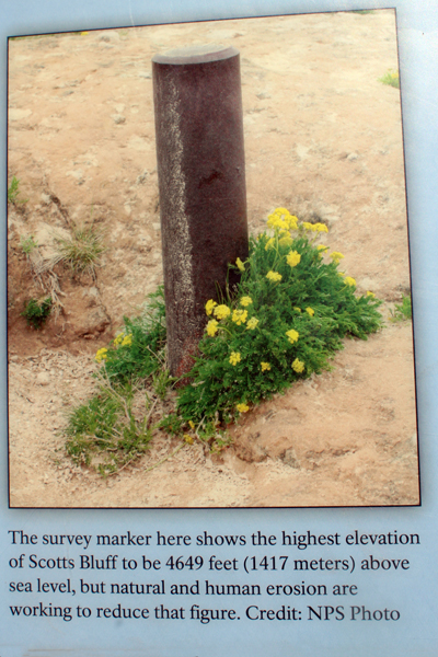 survey marker