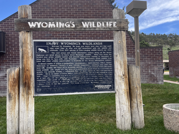 Wyoming Wildlife