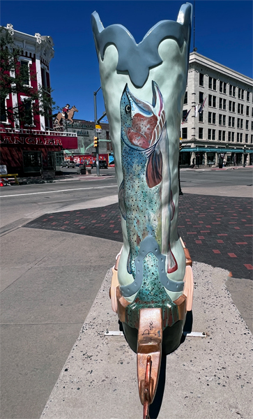 cowboy boot