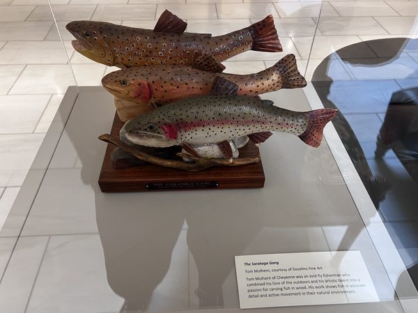 fish