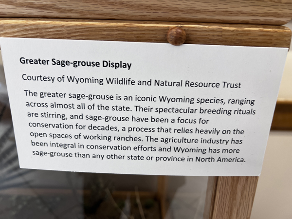 Greater Sage-grouse Display sign