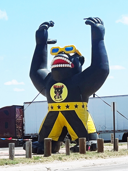 fireworks gorilla