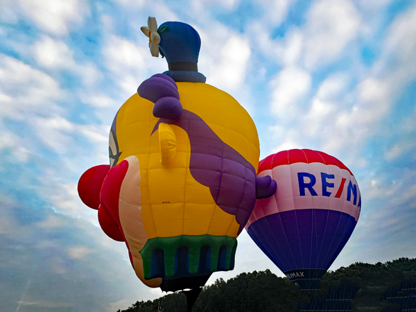 the clown and Remax hot air balloons