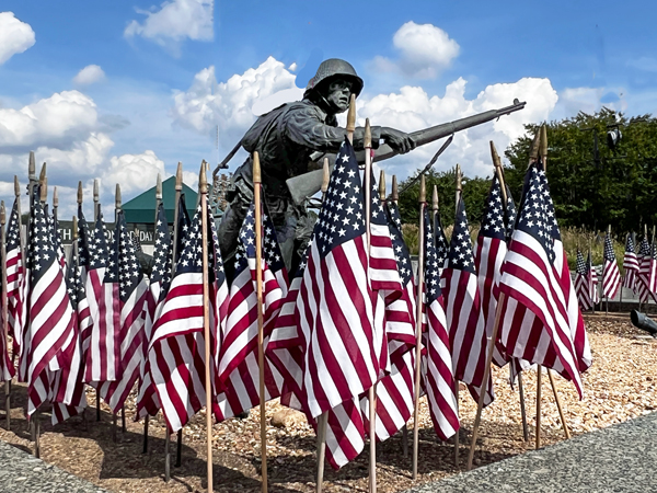 USA flags and a soldier