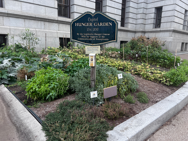 Hunger Garden