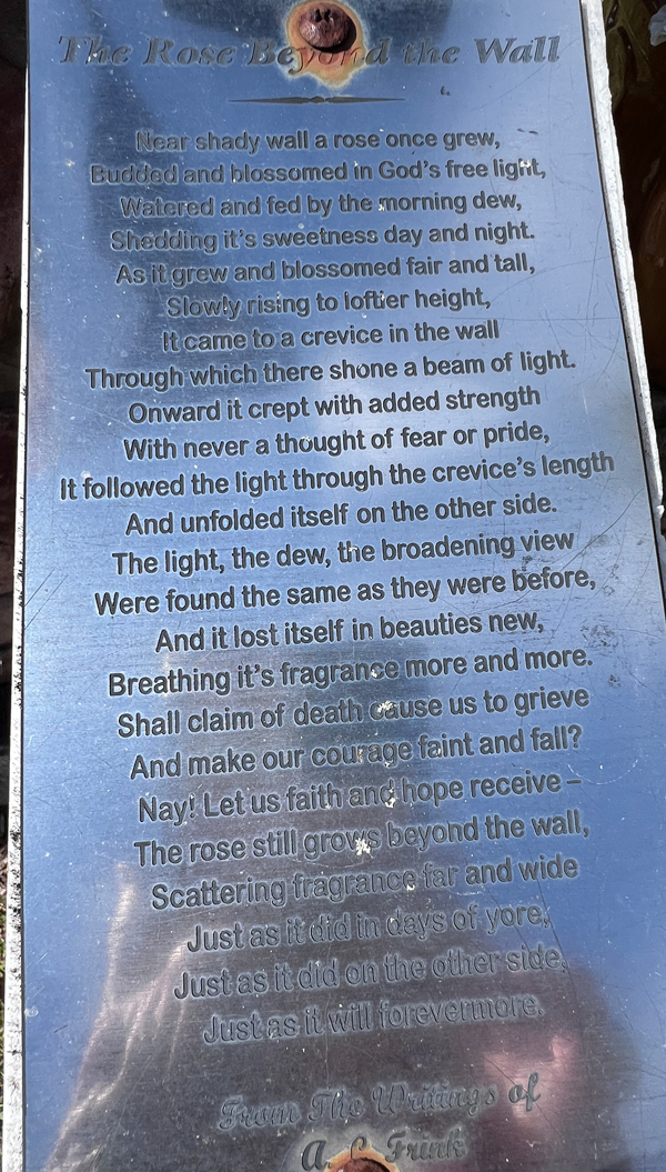 The Rose Beyond the Wall