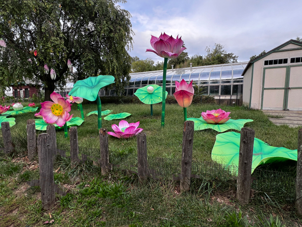 flowers in Beardsley Zoo