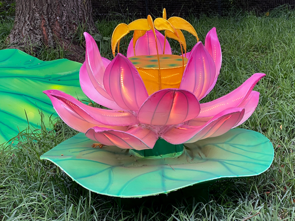 lower in Beardsley Zoo