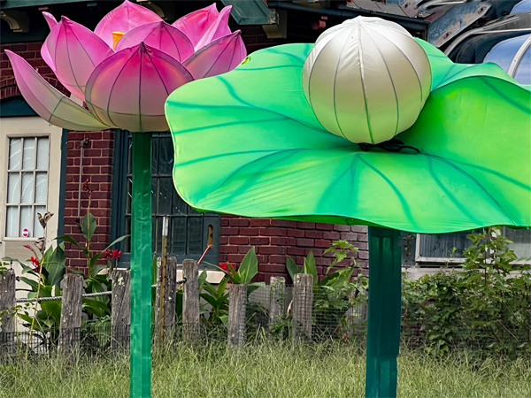 flowers in Beardsley Zoo