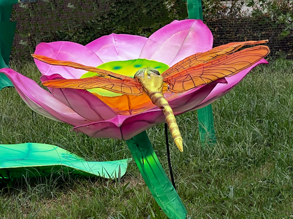 insect on a flower pod
