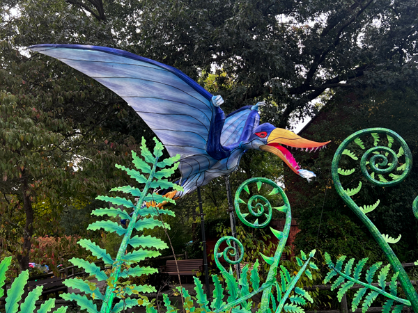 Rhamphorthynchus repile