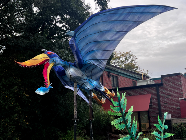 Rhamphorthynchus repiles