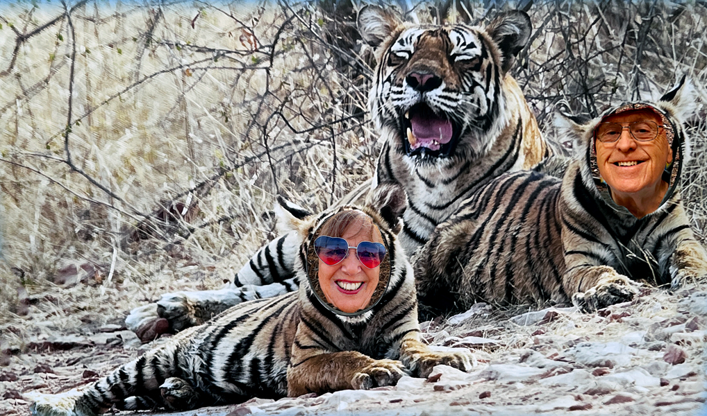 Karen and Lee Duquette became tigers