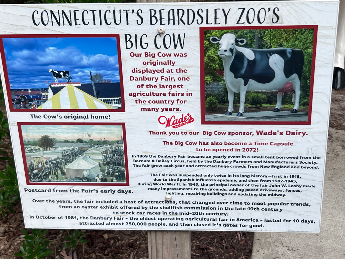 Connecticut's Beardsley Zoo's Big Cow sign