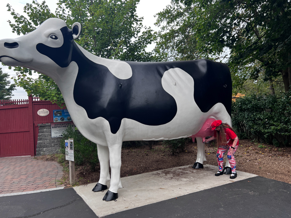 Karen Duquette tired to mil the Big Cow