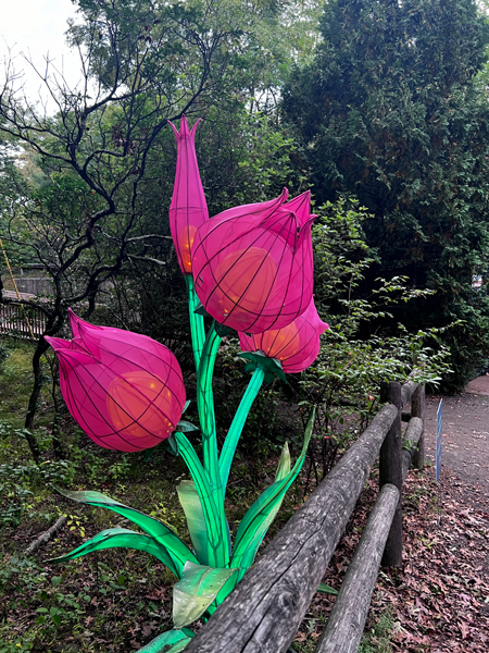 flower that light up