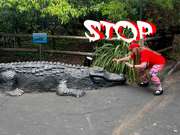 Karen Duquette acted very bravely by the alligator