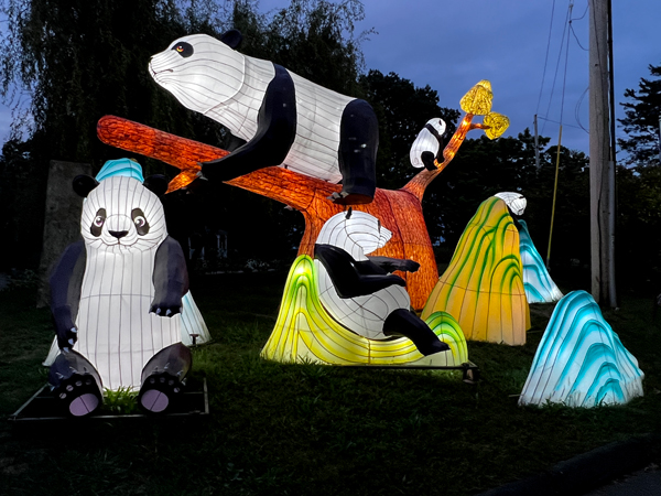 Pandas having fun at night