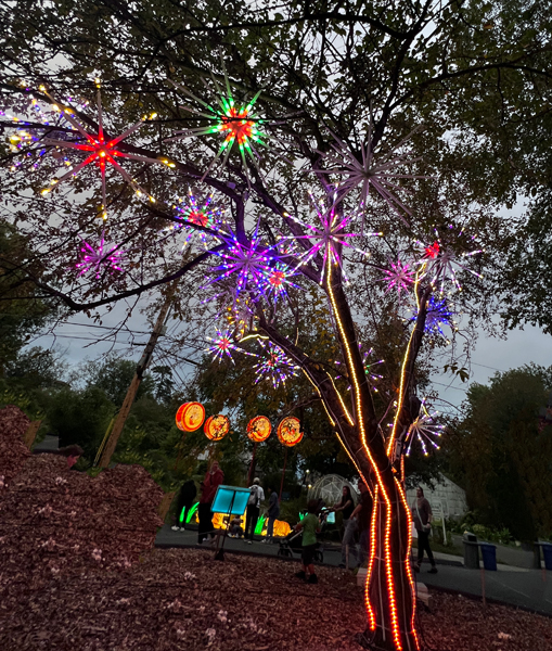 Night view of the sparking tree