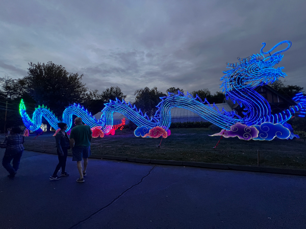 Light Sculpture Dragon at night time