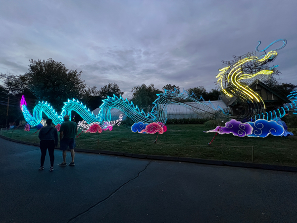 Light Sculpture Dragon at night time
