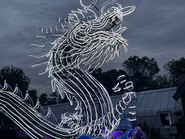 Light Sculpture Dragon at night time