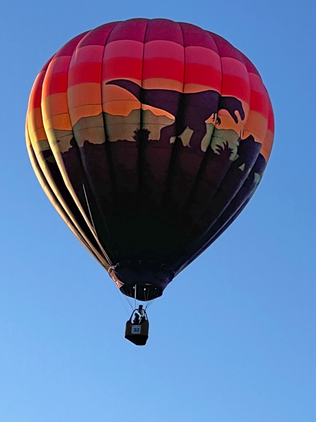 dinosaur hot air balloon