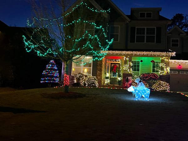 Christmas Decorations in Shelly Woods