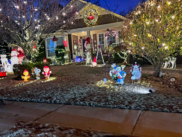 Christmas Decorations in Shelly Woods