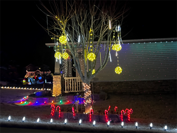 Christmas Decorations in Shelly Woods